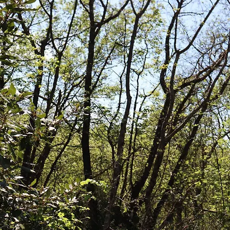 Paradiso Casa vacanze